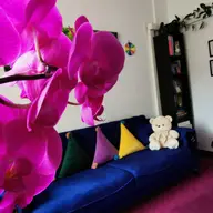 Cabinet psihologic Mariana Ștefan