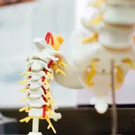 Ce opțiuni de tratament există pentru hernia de disc și când se recomandă operația?