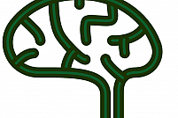 Diamed Neurologie